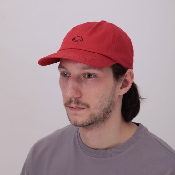 Кепка Anteater 6 Panel Red