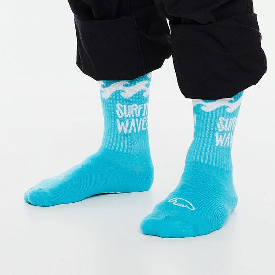 Носки Anteater Socks Winter Corsair