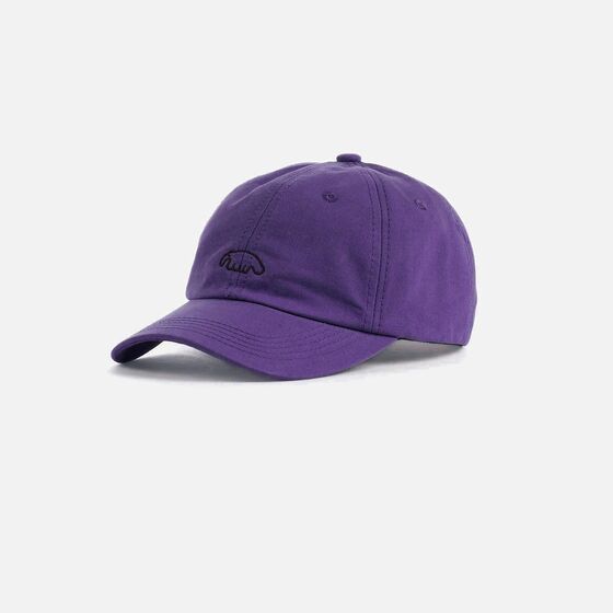 Кепка Anteater 6 Panel Violet