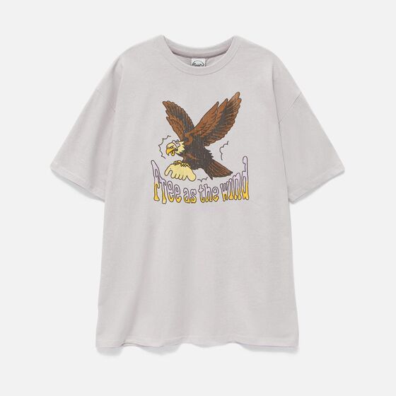 м Футболка ANTEATER 412 Серый