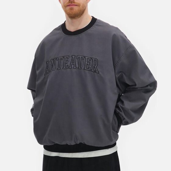 м Толстовка Anteater Jersey NLN Grey