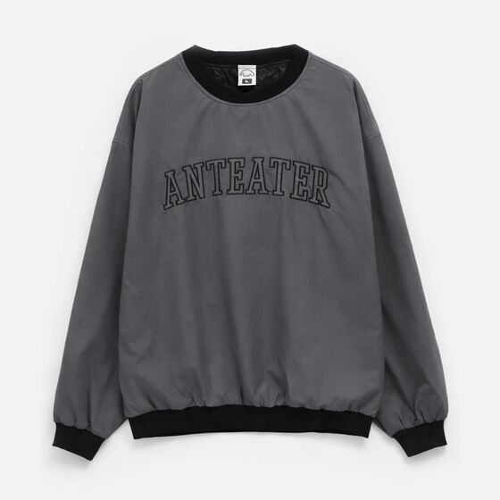 м Толстовка Anteater Jersey NLN Grey