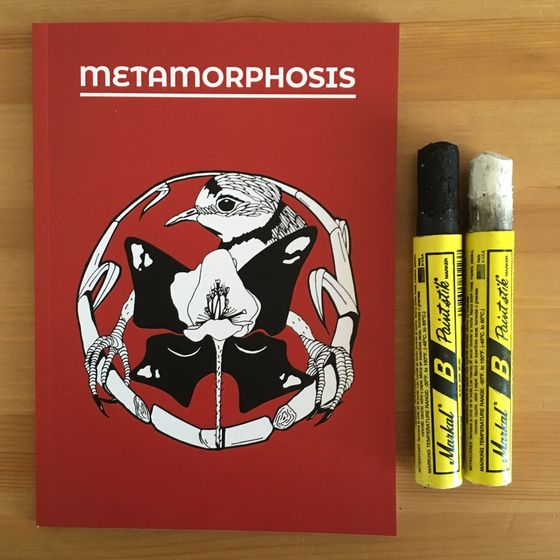 Журнал Metamorphosis